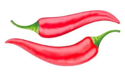 Premium Photo Red Hot Chili Pepper Isolated On White