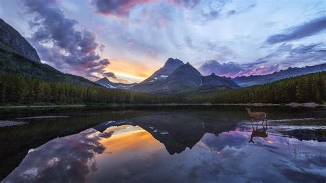 The Tallest Waterfall In Montana Is A Stunning 1500-Foot Cascade - A-Z ...