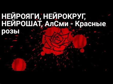 НЕЙРОЯГИ, НЕЙРОКРУГ, НЕЙРОШАТ, АлСми - Красные розы (Премьера клипа ...