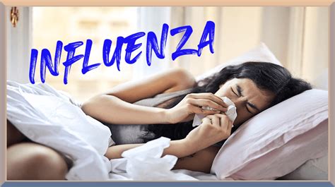 Influenza Gripe O Que Preciso Saber