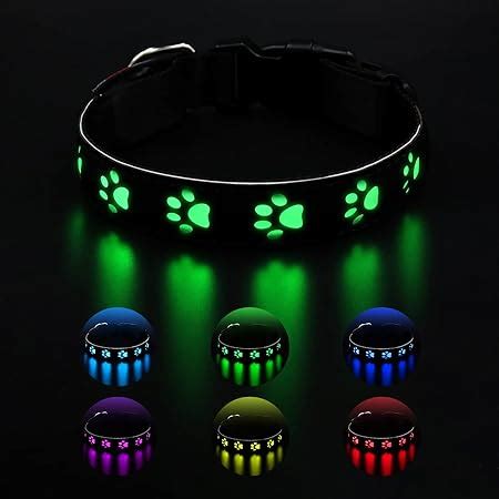 Brifit LED Leuchthalsband Hund USB Aufladbar Hundehalsband Leuchtend