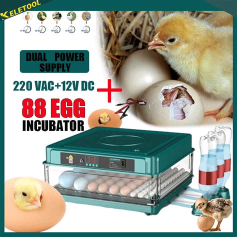 Incubator Egg Automatic Thermostat Alat Mesin Penetas Tempat