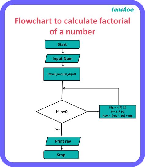 Draw A Flowchart To Find Reverse Of Number Computer Science Class 11