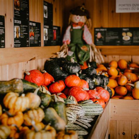 Courges Et Cie Tourisme Outaouais