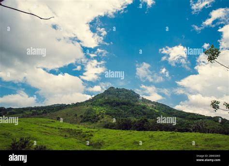 Tropical Jungle Mountain In Dominican Republic Seychelles Caribbean