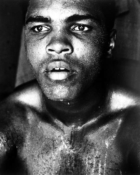 Mohammed Ali Mejores Fotos De La Leyenda Pictolic