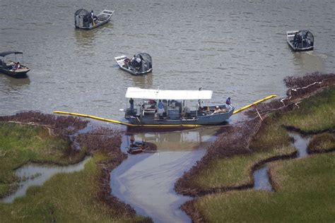 BP Oil Spill: Louisiana Wetland Loss Is Speeding Up Due To Crude From ...