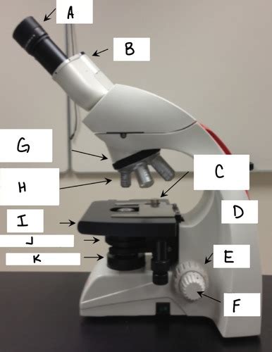 W Fluorescent Microscopy And Bioimaging Processing Flashcards Quizlet