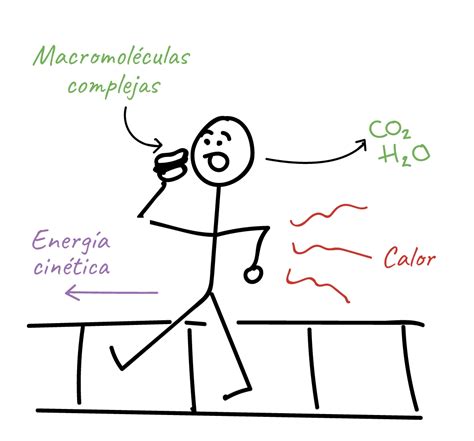 Las Leyes De La Termodinámica Artículo Khan Academy Leyes De La