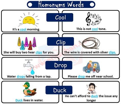 100 Homonym Words List With Sentences • Englishan