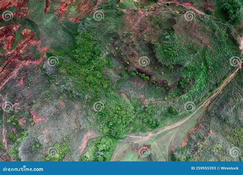 Aerial Of Wayanad Covered In Bushes And Trees Kerala India Stock