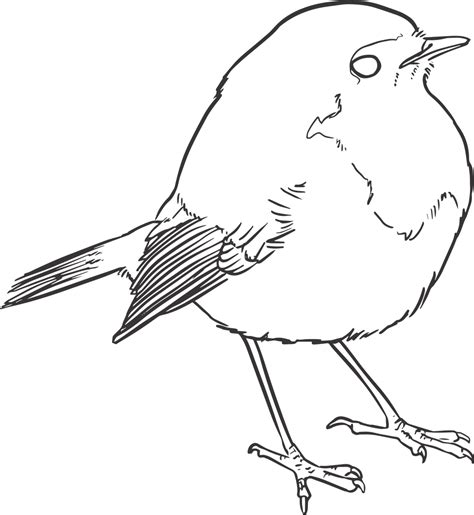 100000 Free Bird Outline And Bird Images Pixabay