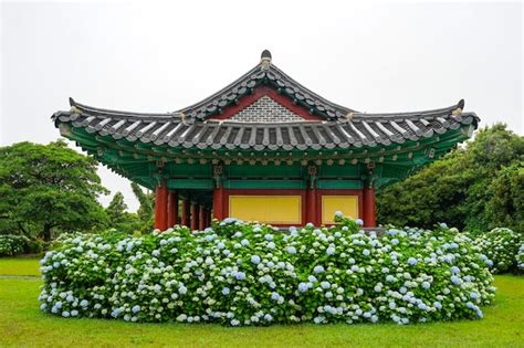 Un Hermoso Camino De Hortensias Con Hortensias Azul Cielo En Plena