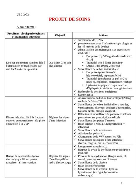 Exemple D Un Projet De Soins Infirmiers Exemple De Projet Hot Sex Picture