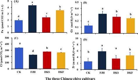 Net Photosynthetic Rate Pn A Stomatal Conductance Gs B