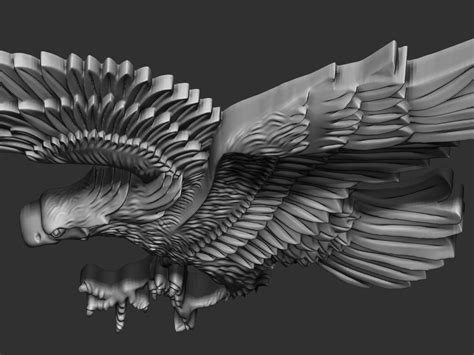 3D Eagle Model - TurboSquid 2038030