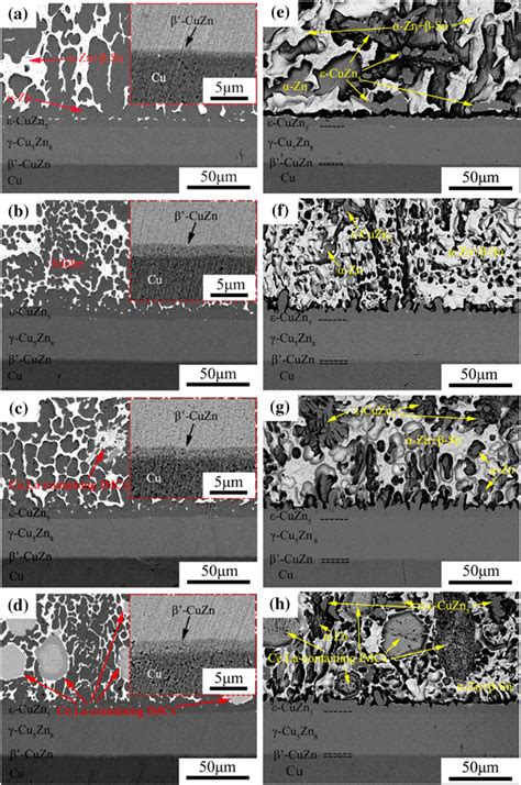 Cross Sectional Sem Micrographs Of The Interface Between Solder Alloys