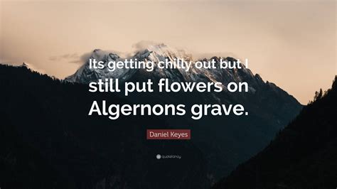 Flowers For Algernon Quotes And Pages Best Flower Site