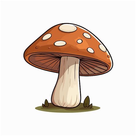 Premium Vector Mushroom Flat Vector Illustration Mushroom Cartoon