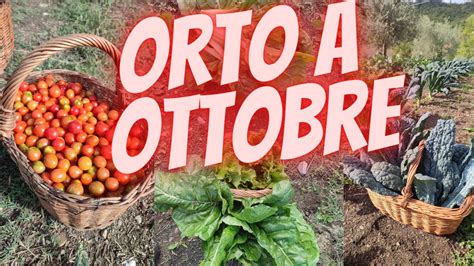 Orto A Ottobre Tra Fine Estivo E Inizio Autunnale YouTube