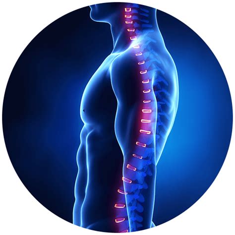 أمراض القرص التنكسية التغيرات في العمود الفقري Degenerative Disc