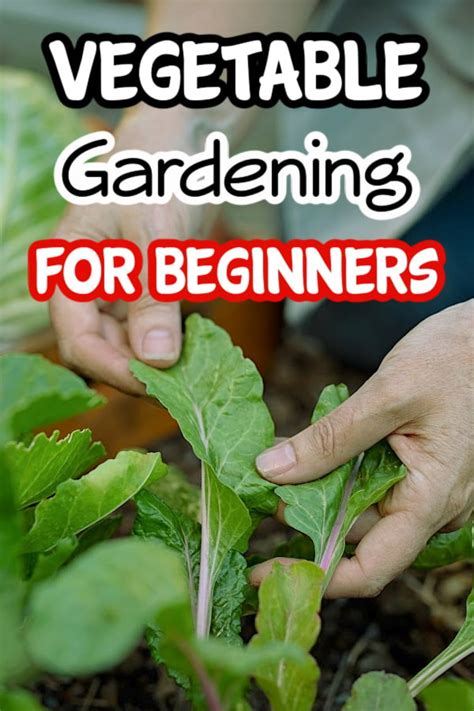 Vegetable Gardening For Beginners Lets Get Started Backyard