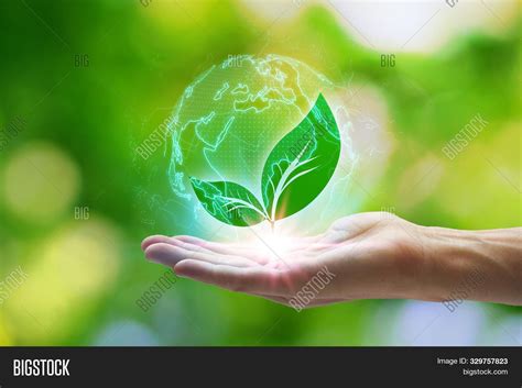 Hand Holding Leaf Image Photo Free Trial Bigstock