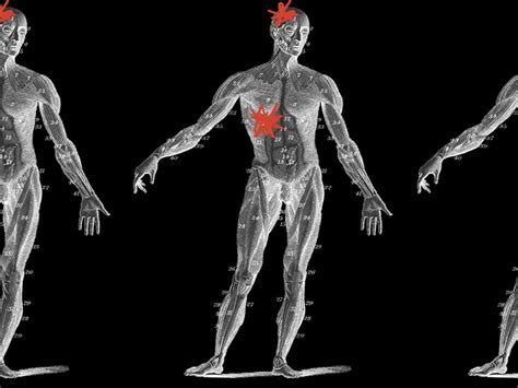 Qu est ce que l axe foie cerveau et joue t il un rôle dans la démence