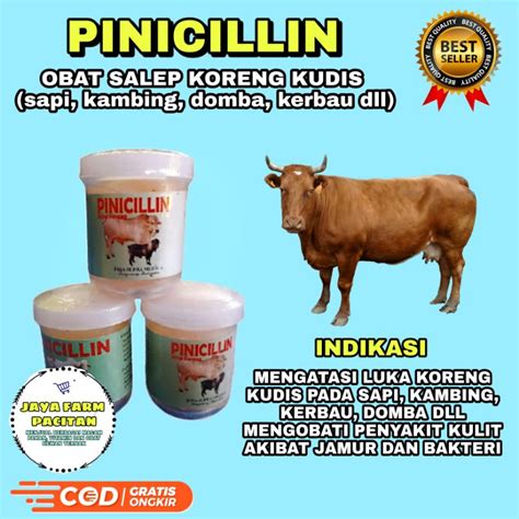 Jual Pinicillin Salep Obat Koreng Kudis Sapi Kambing Domba Kerbau