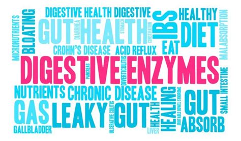 11 Health Benefits Of Digestive Enzymes Natural Food Series