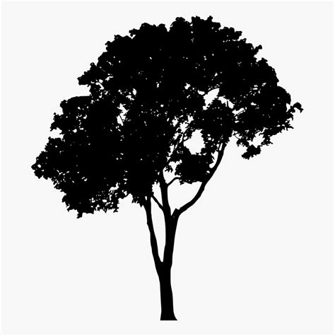 Vector Tree Png Tree Silhouette Png Transparent Png Transparent