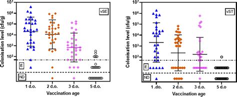 Frontiers Early Vaccination Of Laying Hens With The Live Bivalent