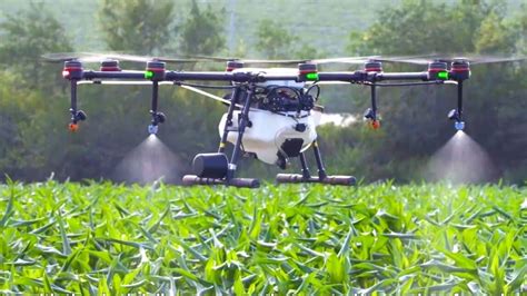 Drone Precision Agriculture Ppgbbe Intranet Biologia Ufrj Br