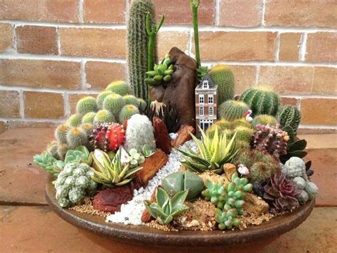 Pin de Martha Alicia en Jardín manuel Suculentas Cactus y suculentas