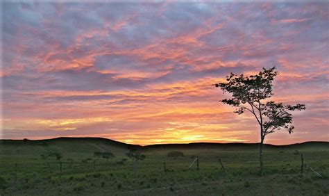 Amanecer Llanero Fotos De Colombia Paisajes Paisajes Llaneros