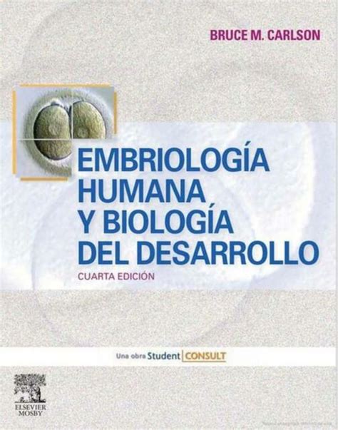 Embriología Humana Y Biología Del Desarrollo Enfermería Udocz