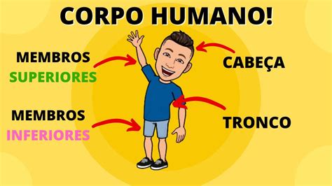 Corpo Humano Suas Divisoes Basicas Educacao Infantil – Otosection