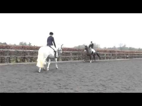 Burrows Court Dressage Cons Girl Youtube