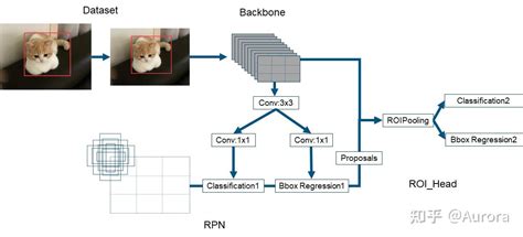 【目标检测faster Rcnn】原理 Pytorch官方源码解释 Vgg Resnet Resnet50 Fpn