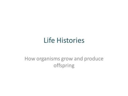 Chap 5 Life History Strategies 鄭先祐 生態主張者 Ayo ppt download