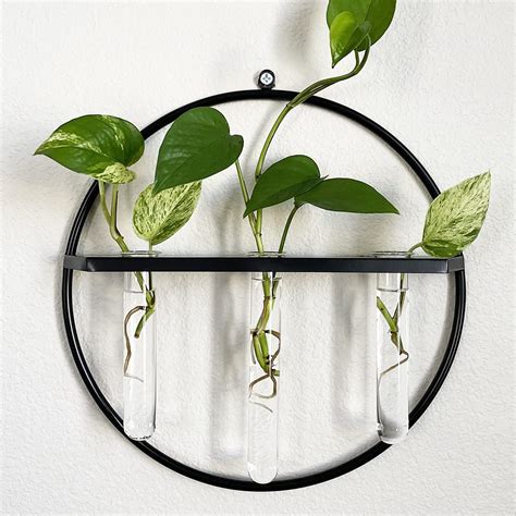 Buy Fekcits Pack Propagation Station Wall Hanging Er Terrarium With