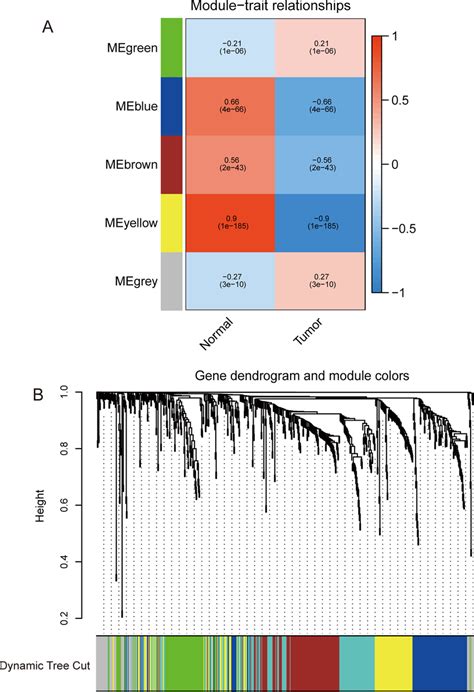 A Weighted Gene Correlation Network Analysis Wgcna Identified Five