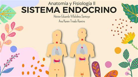 Sistema Endocrino Ana Karen Tirado Ramiro Udocz