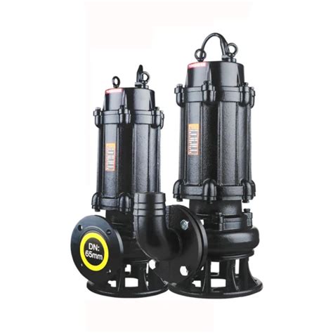 Wq Qw Wqd Jywq Submersible Vertical Sewage Water Pump Sump Grinder