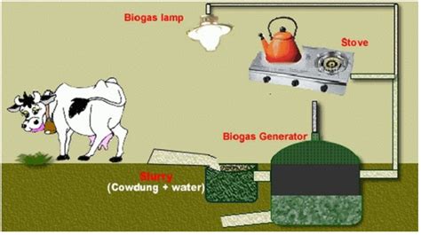 Contoh Energi Biomassa Homecare24