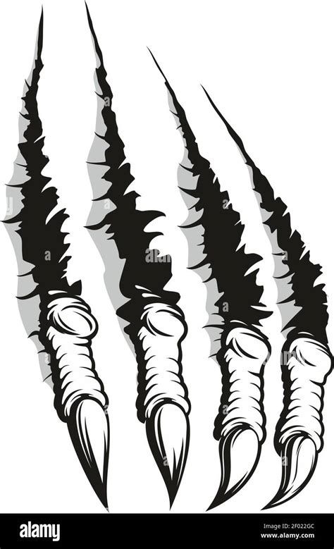 Claws Scratch Marks Torn Slashes Background Vector Wild Animal Or