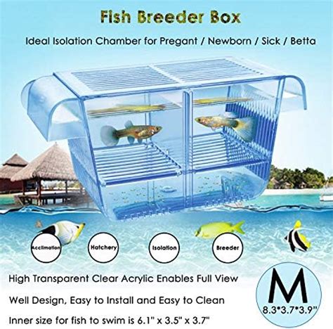 Amazon 4 Rooms HD Fish Breeding Box Aquarium Breeding Box