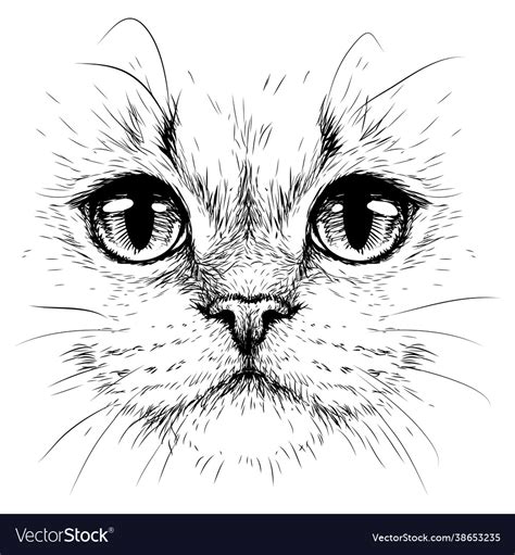 Cat Creative Design Graphic Portrait Royalty Free Vector