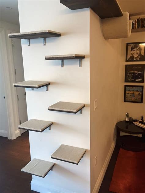 Great Photos Of Cat Wall Shelf System Installation Cat Wall Cat Wall