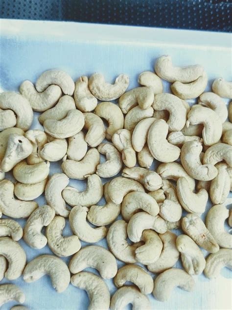 LWP Cashew Nut Packaging Size 10 Kg At Rs 480 Kg In Kanchipuram ID